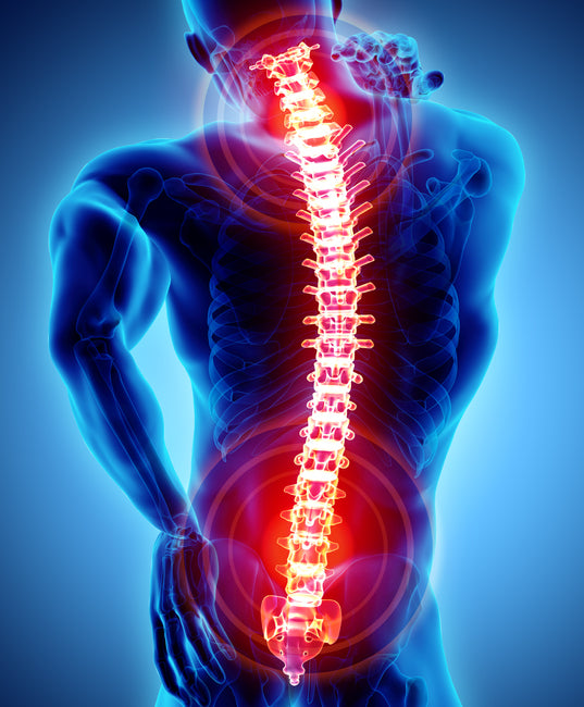 Is Your Back Pain Spinal or Muscular? - NeuroMD