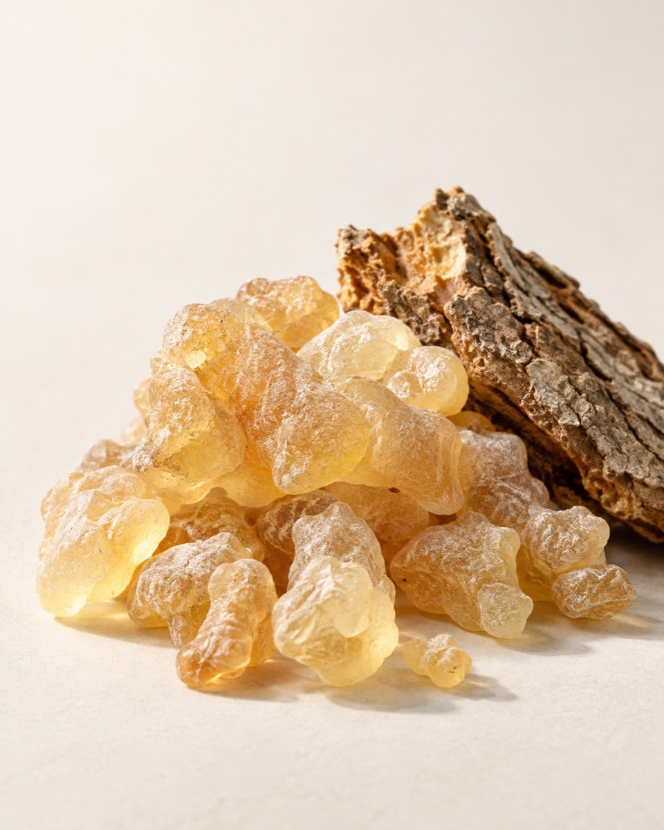 Boswellia resin